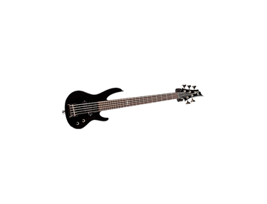 esp ltd b-5jr
