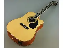Cort AD-880 main image