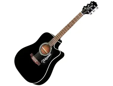 Takamine EG-321C
