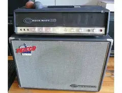 Teisco Checkmate 25 Half-Stack main image