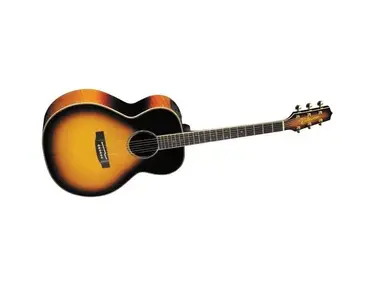 Takamine TF450SMSB