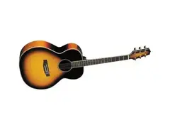Takamine TF450SMSB main image