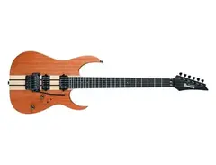 Ibanez RGT220H main image