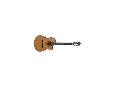 Ibanez GA5TCE