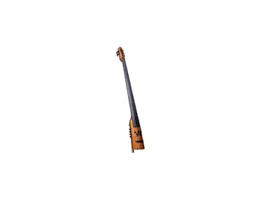 Ned Steinberger 5-String Electric Upright Bass