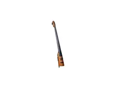 Ned Steinberger 5-String Electric Upright Bass