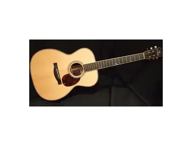 Santa Cruz OM