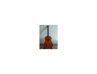 Fender FC-40