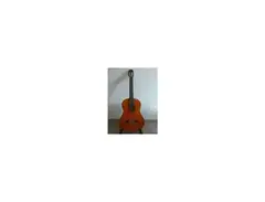 Fender FC-40 main image