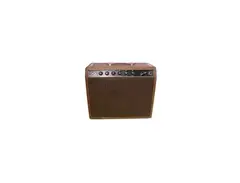 Tyler Amps PT14