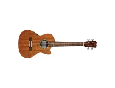 Cordoba 20TM-CE