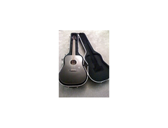 Epiphone pr-160