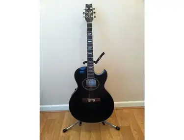 Washburn EA22