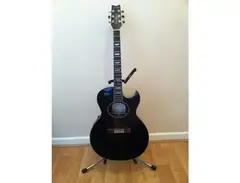 Washburn EA22 main image