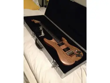 Washburn Custom Shop 'Nuno Bettencourt' Signature N4