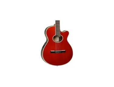 Tanglewood Discovery