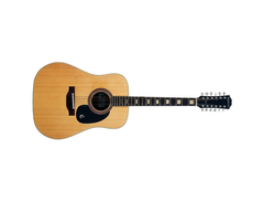 Epiphone FT-165 main image