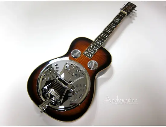 Gold Tone PBS-D Resonator Guitar