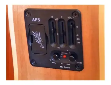 Maton AP5