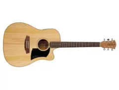 Cole Clark FL1 AC