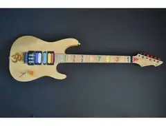 peavey numbers guitar prototype main image