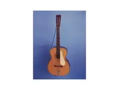 Harmony Stella 12 String Acoustic