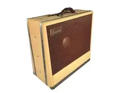Standel 25L15 Combo