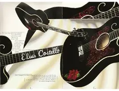 Danny Ferrington "Elvis Costello" Acoustic