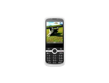 ZTE 301Z