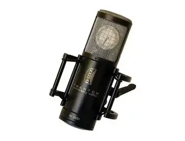 Brauner Phantom AE