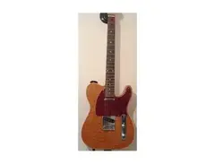 Custom Built Tele main image