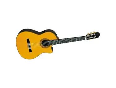 Yamaha CGX171CCA