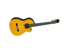 Yamaha CGX171CCA main image