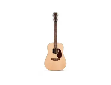 Martin DM12