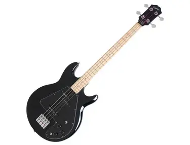 Epiphone Ripper