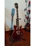 Washburn Wi66V main image