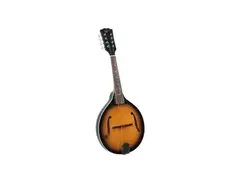 Rover RM-50 Deluxe Student A-model Mandolin main image
