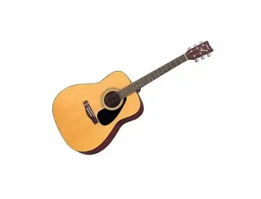 Yamaha Acoustic Guitar Package (F310P)