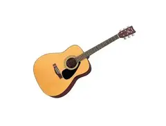 Yamaha Acoustic Guitar Package (F310P)
