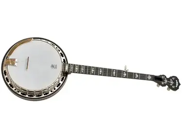 Deering Sierra 5-String Banjo