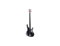 Washburn RB2000