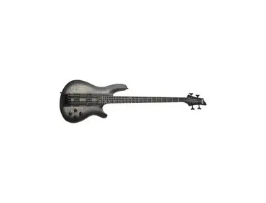 Schecter SGR C-4 GT