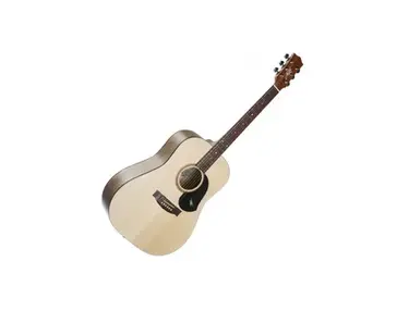 Maton S60