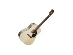 Maton S60