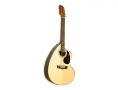Giannini Craviola 12
