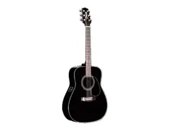 Takamine G241
