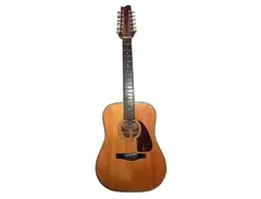 Fender F310-12