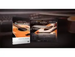 Session Guitarist Strummed Acoustic