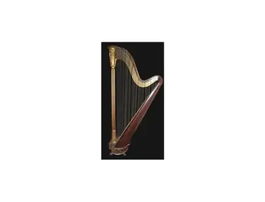 Tom's Grecian Model Double-Action 43 string Erard Harp