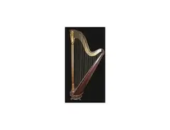 Tom's Grecian Model Double-Action 43 string Erard Harp